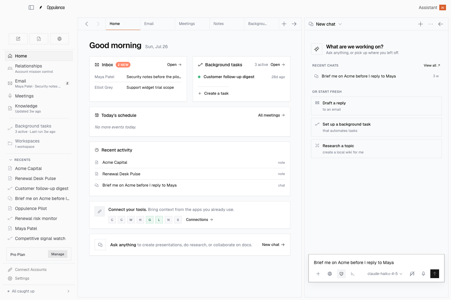 Oppulence desktop app screenshot for Revenue Action Queue